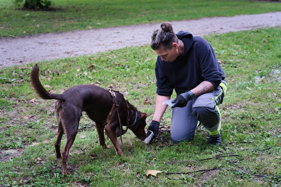 Alexandra Götz kniet auf einer Wiese und belohnt ihren Labrador-Mix Bambam an der langen Leine aus einer Futterdose
